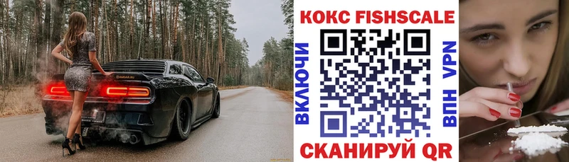 Купить закладки  Тулун  КОКАИН FishScale 