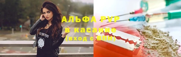 амф Беломорск