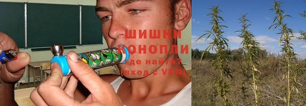 mdma Белокуриха