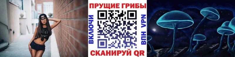Галлюциногенные грибы GOLDEN TEACHER  Купить где  Тулун 
