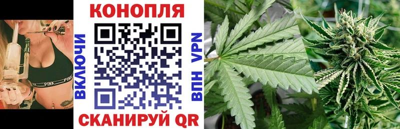 Купить где  Тулун  Бошки Шишки сатива 